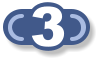 3 3