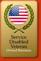Service DisabledVeteran  Owned Business