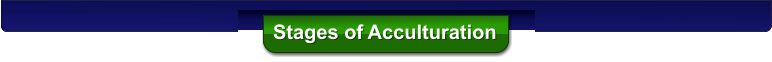 Stages of Acculturation