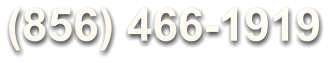 (856) 466-1919